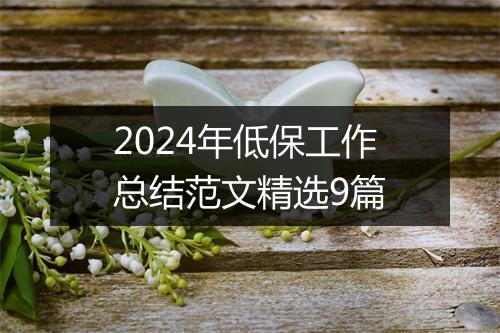 2024年低保工作总结范文精选9篇