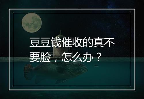豆豆钱催收的真不要脸，怎么办？