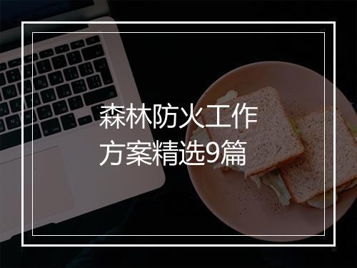 森林防火工作方案精选9篇