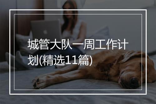 城管大队一周工作计划(精选11篇)