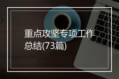 重点攻坚专项工作总结(73篇)