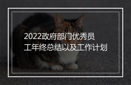2022政府部门优秀员工年终总结以及工作计划