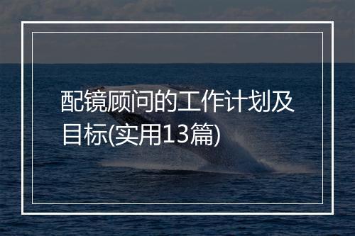 配镜顾问的工作计划及目标(实用13篇)