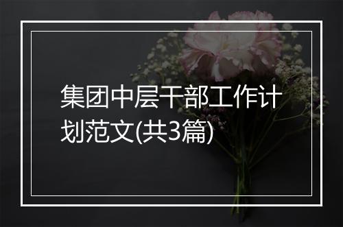 集团中层干部工作计划范文(共3篇)