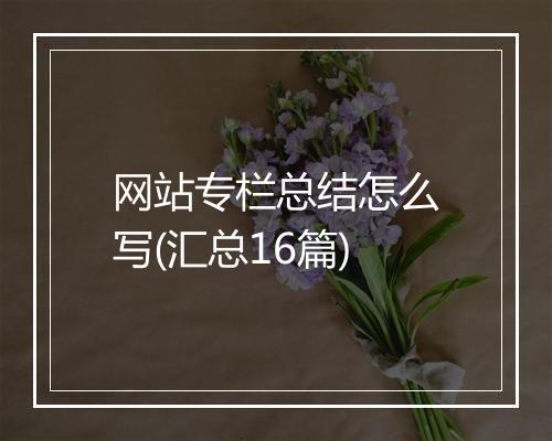 网站专栏总结怎么写(汇总16篇)