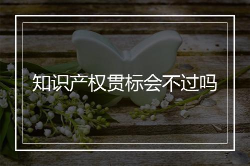 知识产权贯标会不过吗