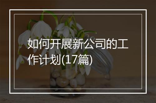 如何开展新公司的工作计划(17篇)