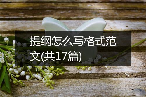 提纲怎么写格式范文(共17篇)