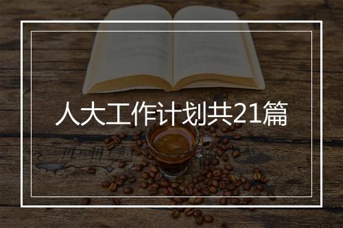 人大工作计划共21篇