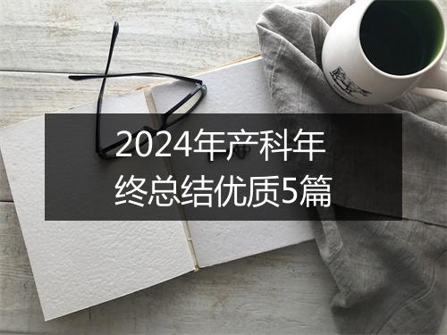 2024年产科年终总结优质5篇