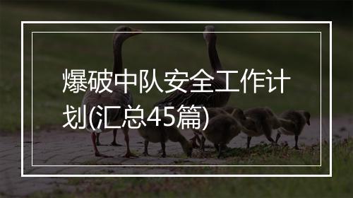 爆破中队安全工作计划(汇总45篇)