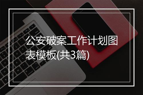 公安破案工作计划图表模板(共3篇)