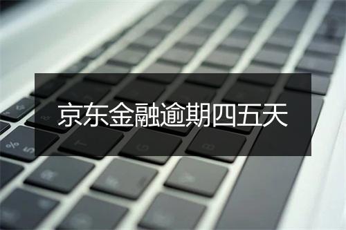 京东金融逾期四五天