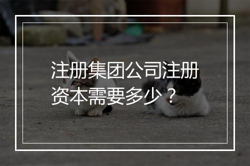 注册集团公司注册资本需要多少？