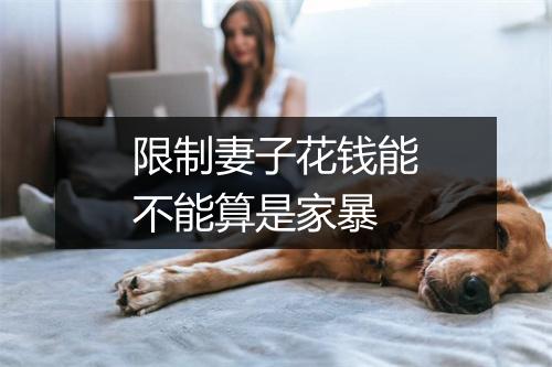 限制妻子花钱能不能算是家暴