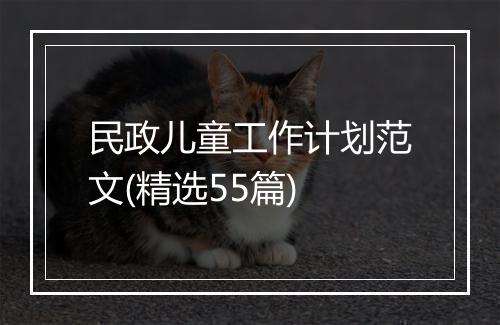 民政儿童工作计划范文(精选55篇)
