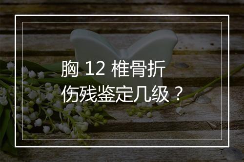 胸 12 椎骨折伤残鉴定几级？