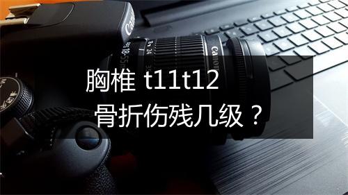 胸椎 t11t12 骨折伤残几级？