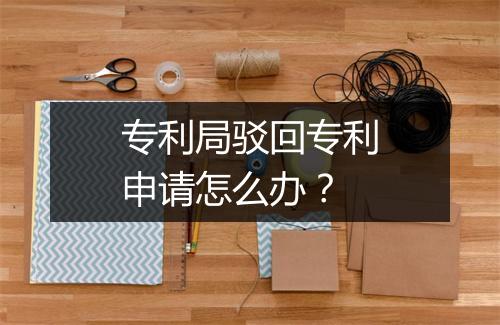 专利局驳回专利申请怎么办？