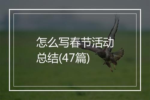 怎么写春节活动总结(47篇)