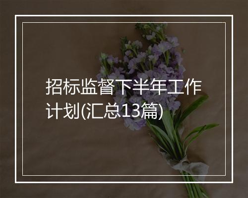 招标监督下半年工作计划(汇总13篇)
