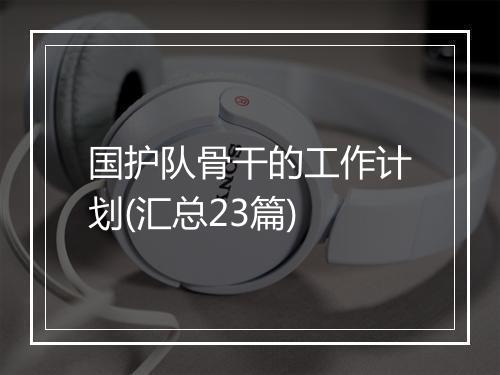 国护队骨干的工作计划(汇总23篇)
