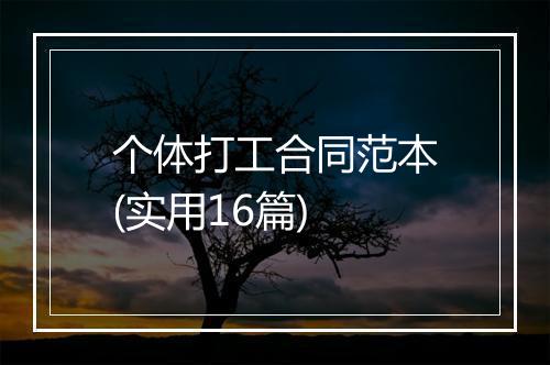 个体打工合同范本(实用16篇)