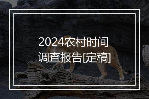 2024农村时间调查报告[定稿]