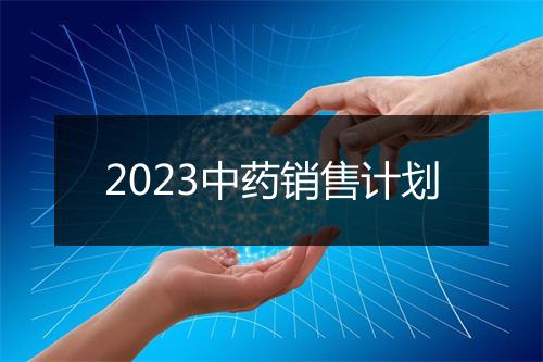 2023中药销售计划