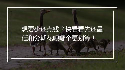 想要少还点钱？快看看先还最低和分期花呗哪个更划算！