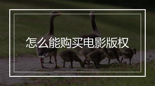 怎么能购买电影版权