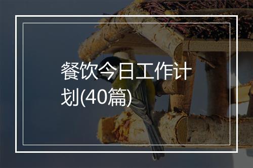 餐饮今日工作计划(40篇)