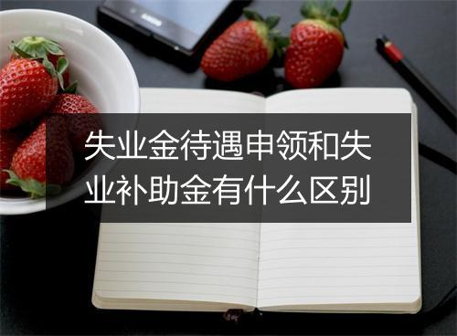 失业金待遇申领和失业补助金有什么区别