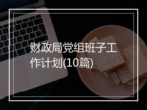 财政局党组班子工作计划(10篇)