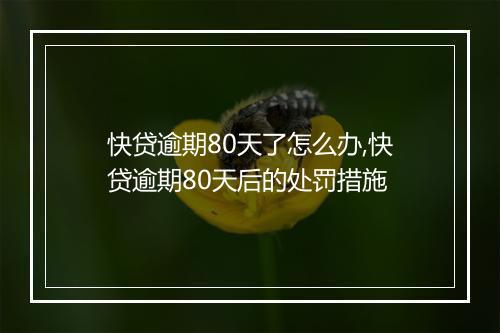 快贷逾期80天了怎么办,快贷逾期80天后的处罚措施