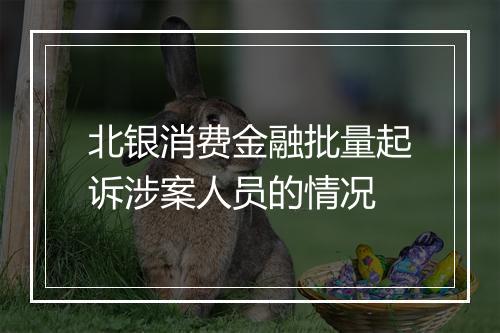北银消费金融批量起诉涉案人员的情况