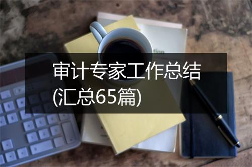 审计专家工作总结(汇总65篇)