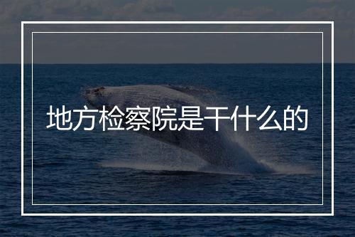 地方检察院是干什么的