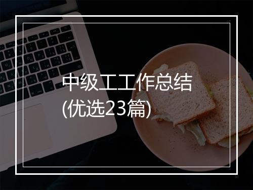 中级工工作总结(优选23篇)