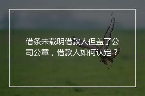 借条未载明借款人但盖了公司公章，借款人如何认定？