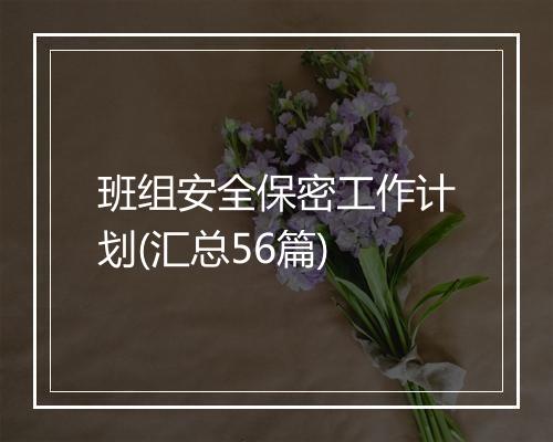 班组安全保密工作计划(汇总56篇)