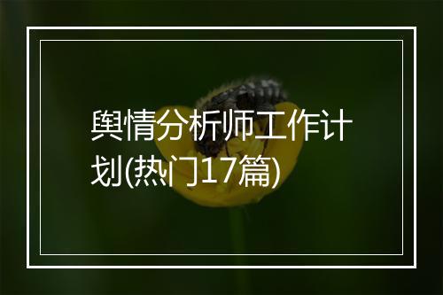 舆情分析师工作计划(热门17篇)