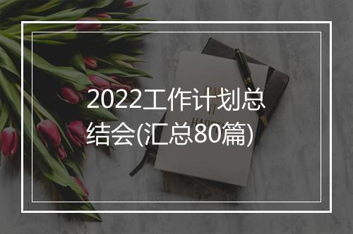 2022工作计划总结会(汇总80篇)