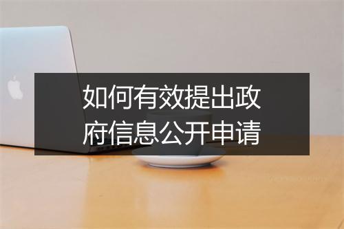如何有效提出政府信息公开申请