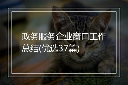 政务服务企业窗口工作总结(优选37篇)
