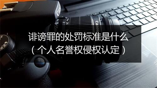 诽谤罪的处罚标准是什么（个人名誉权侵权认定）