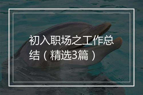 初入职场之工作总结（精选3篇）