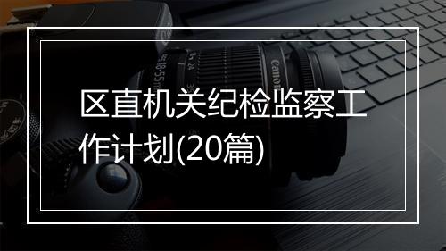 区直机关纪检监察工作计划(20篇)
