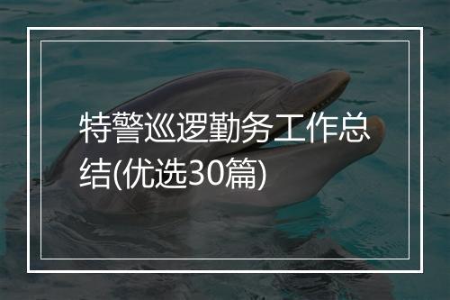 特警巡逻勤务工作总结(优选30篇)