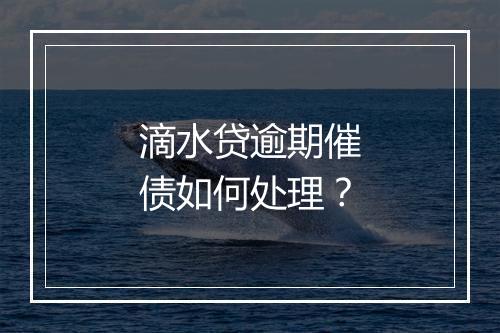 滴水贷逾期催债如何处理？